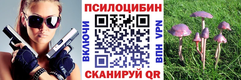 Купить закладки  Рязань  Галлюциногенные грибы ЛСД 