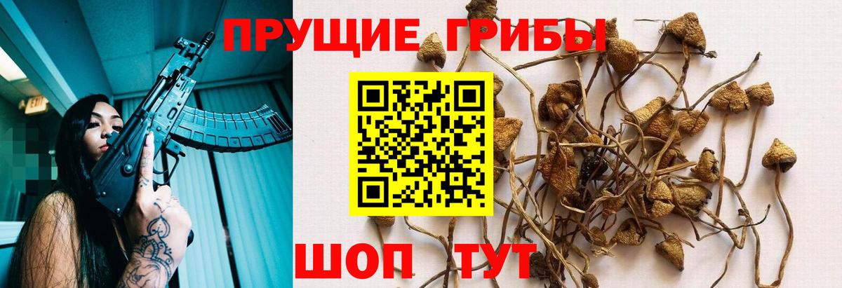 Галлюциногенные грибы Magic Shrooms  Вход с VPN  Псилоцибиновые грибы прущие грибы  наркотики  Рязань 