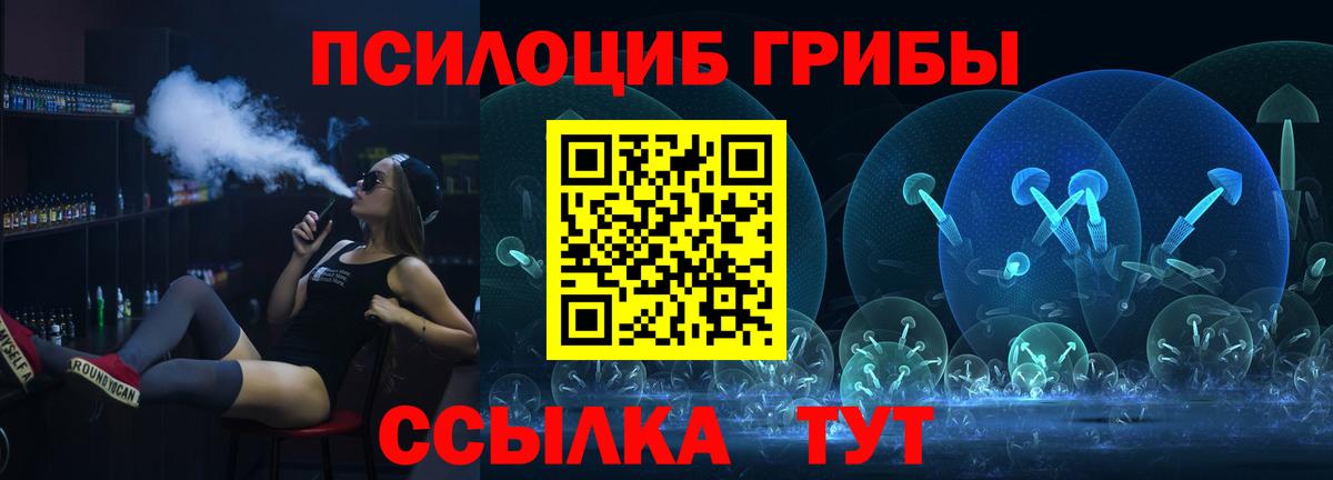 Галлюциногенные грибы Psilocybine cubensis Рязань