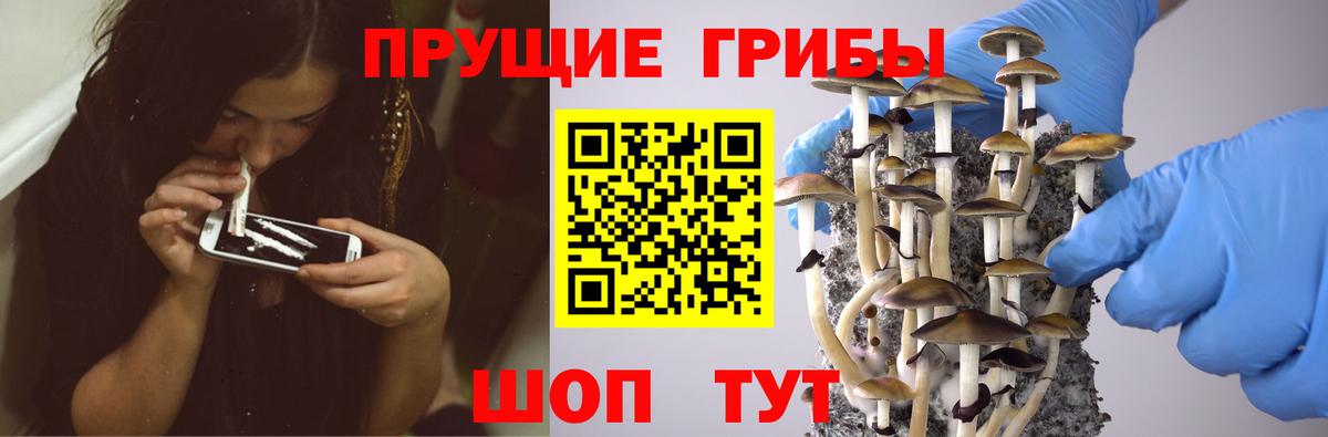 Псилоцибиновые грибы Cubensis Рязань